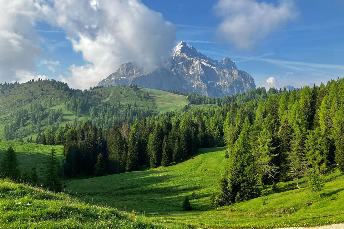 Dolomiti Extreme Trail 2024 Orsi - 05